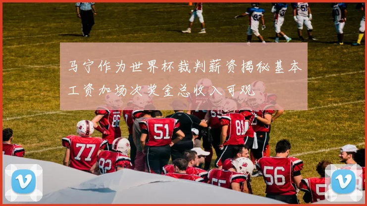 马宁作为世界杯裁判薪资揭秘基本工资加场次奖金总收入可观