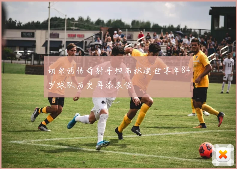 切尔西传奇射手坦布林逝世享年84岁球队历史再添哀伤