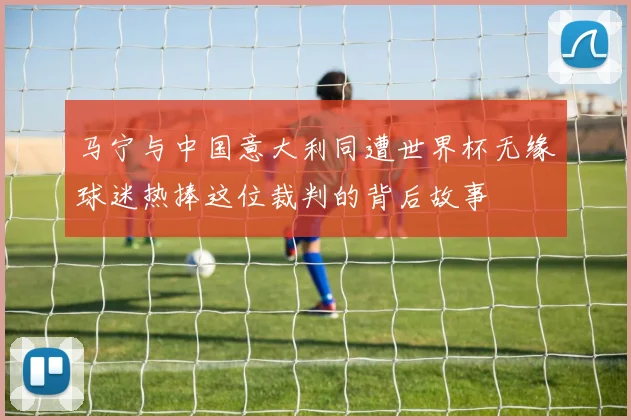 马宁与中国意大利同遭世界杯无缘球迷热捧这位裁判的背后故事